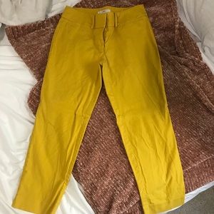 Loft Dress Pants